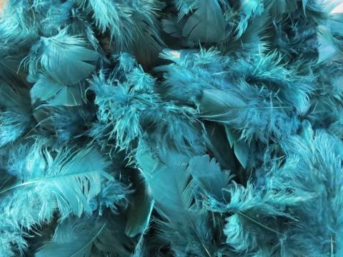 Aqua Green Turkey Feathers Bulk