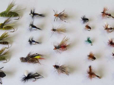 Terrestrial Dry Fly Pack