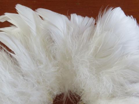White Goose Coquille Strung Feathers Closeup