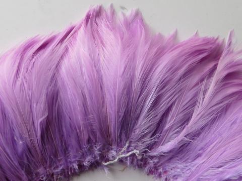 Lilac Rooster Hackle Strung Feathers Closeup