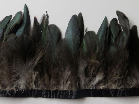 Royal Green Banded Schlappen Feathers