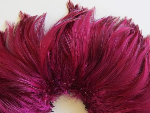 Burgundy Rooster Hackle Strung Feathers Closeup