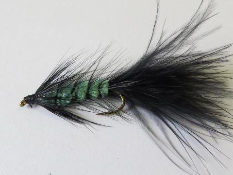 Chartreuse and Black Woolly Bugger