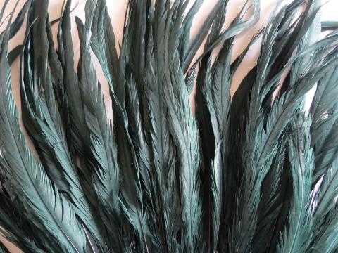 Emerald Green Rooster Tail Feathers Closeup