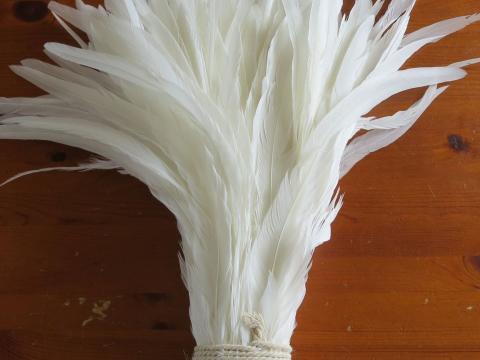 Natural White Rooster Tail Feathers Bulk