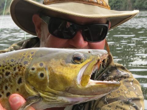 Grey Ghost Streamer Fly - Feathergirl