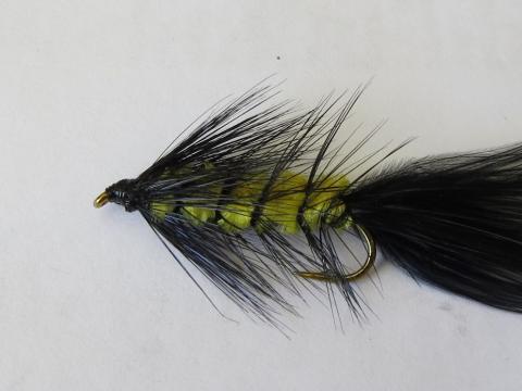 Yellow and Black Woolly Bugger