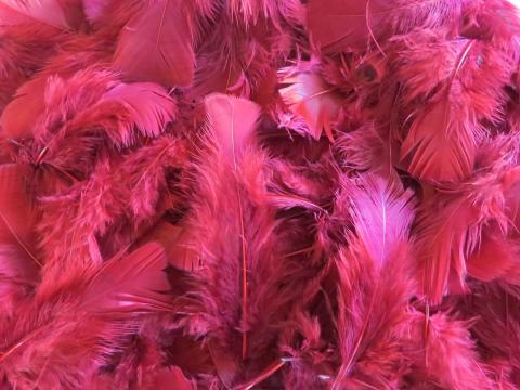 Burgundy Turkey Plumage Feathers Bulk