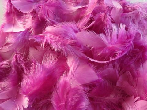 Fairy Pink Turkey Plumage Bulk