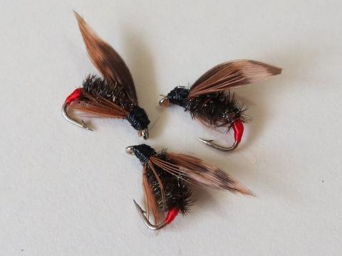 Red Tipped Governor Wee Wet Fly