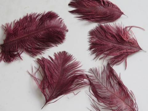 Maroon Ostrich Drab Feathers
