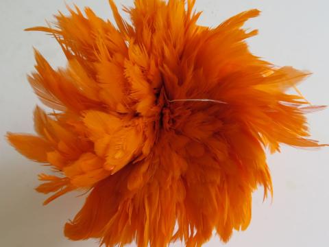 Orange Schlappen Strung Feathers Bulk