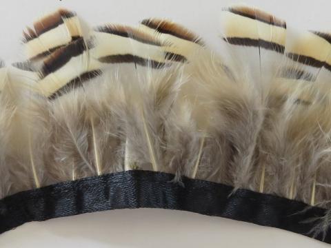 Partridge Feathers Banded