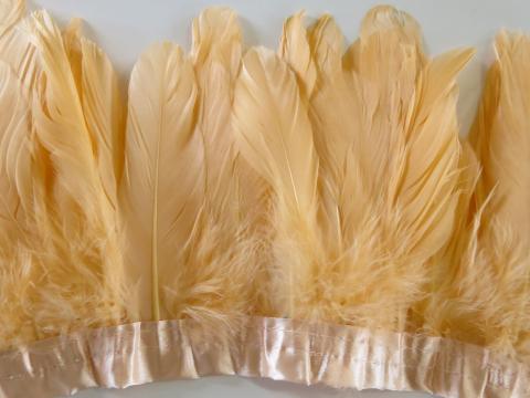 Peach Nagorie Banded Feathers