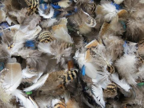 Mixed Small Feathers Bulk