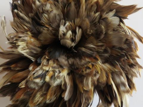 Brown and Cream Strung Schlappen Feathers Bulk