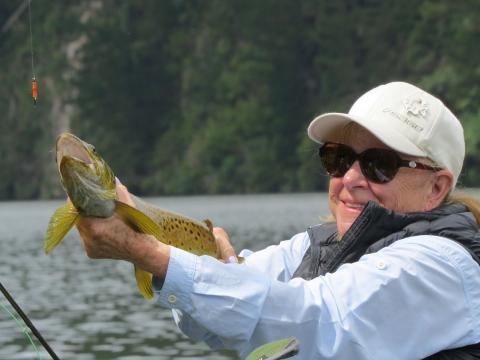 Beautiful brown trout caught on a Red Setter