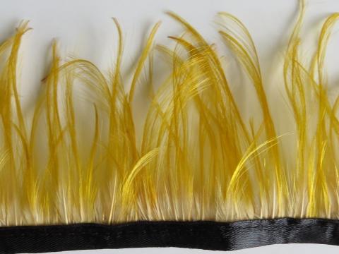 Golden Pheasant Crest Feathers