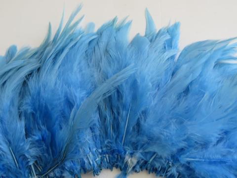 Baby blue strung schlappen feathers closeup