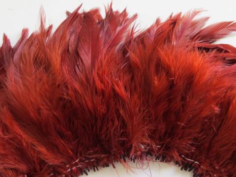 Crimson Schlappen Feathers Strung Closeup