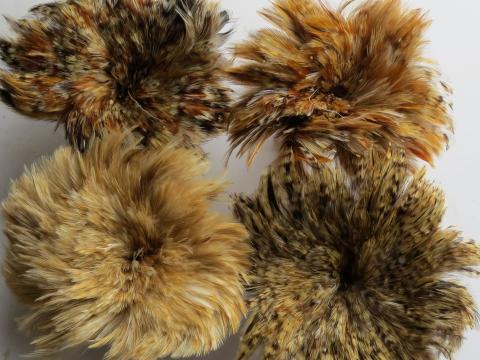 Ginger Saddle Strung Feather Variations
