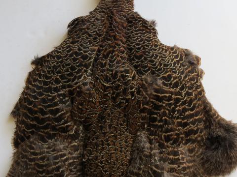 melanistic-hen-pheasant-pelt.jpg