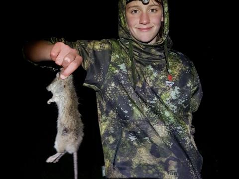 Jack's Rat