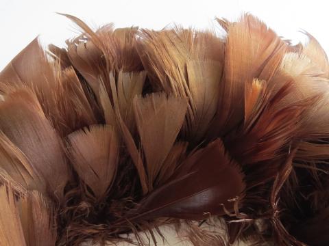 Rich Brown Goose Coquille Feathers Closeup