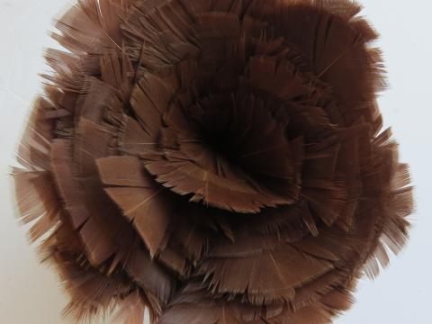 Rich Brown Turkey Plumage Strung Bulk