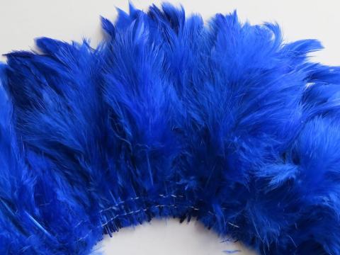 Roya blue strung schlappen feathers closeup