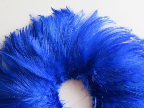 Royal Blue Strung Rooster Hackles Closeup