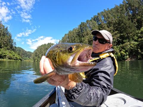 Taupo Tiger Epoxy Eyed Short Shank Jigging Smelt