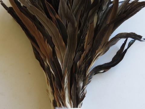 Copper and Green Extra Long Rooster Tail Feathers