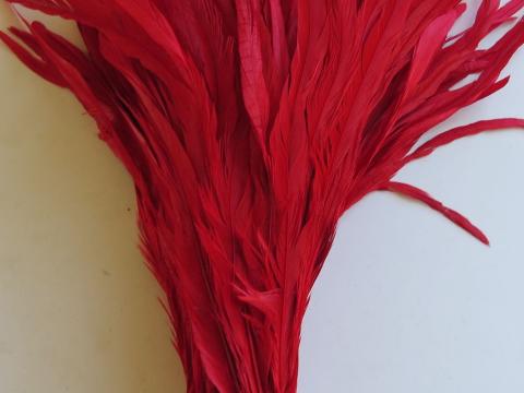 Long Red Rooster Tail Feathers