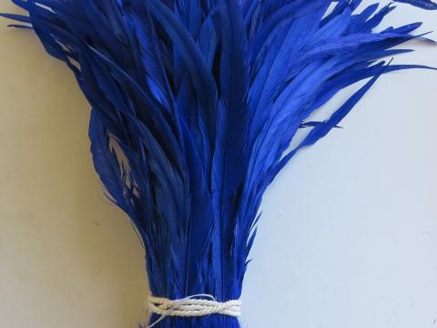 Royal Blue Long Rooster Tail Feathers