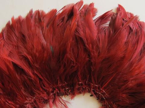 crimson-ginger-rooster-schlappen-strung-closeup