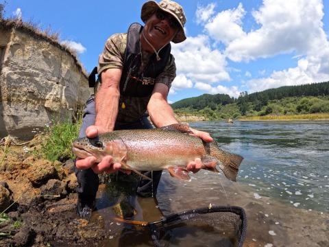 Beauty Rainbow on the Bead Head Pheasant Tail With Rubber Legs Dropper