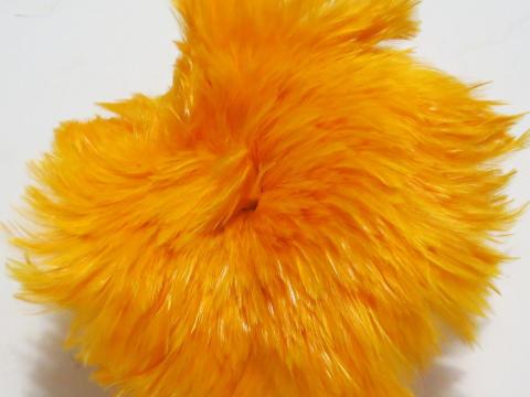 Gold rooster hackle feathers bulk
