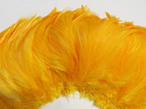 Gold rooster hackle feathers closeup