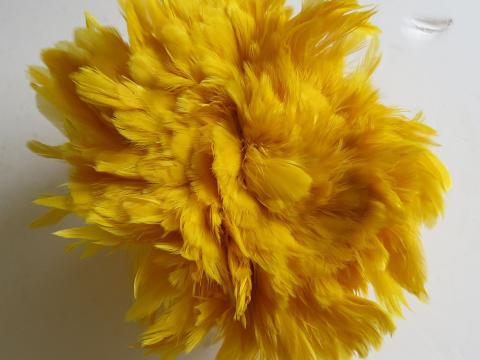 Gold strung schlappen feathers bulk