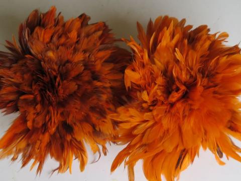Orange caramel cream strung feathers bulk