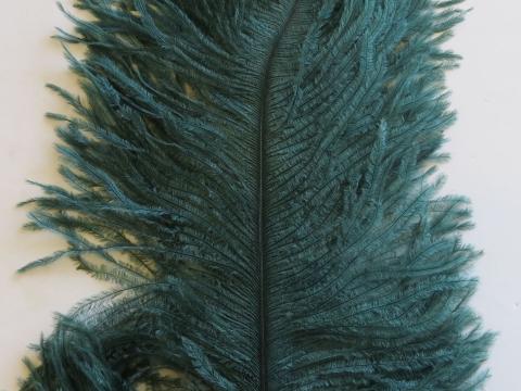 teal-plume-45cm