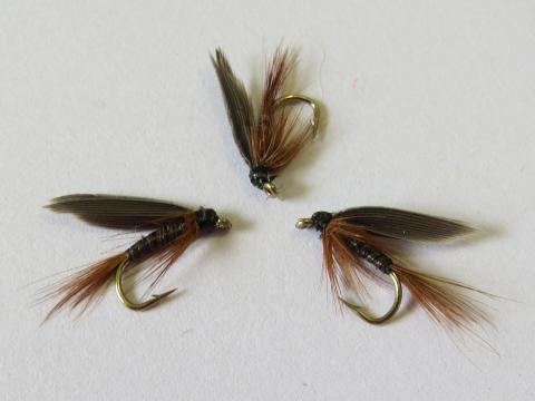 Twilight beauty wee wet fly