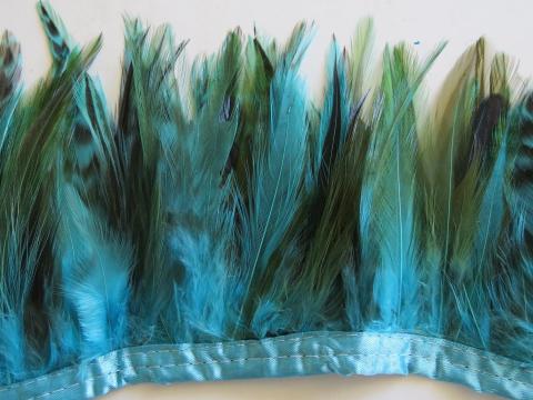 Aqua ginger hackle banded feathers