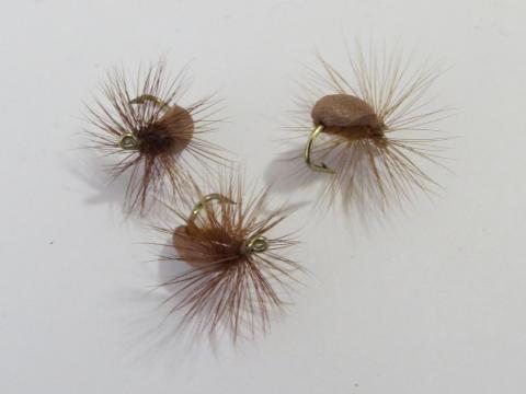 Foam brown beetle dry fly