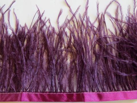 Plum ostrich herl banded