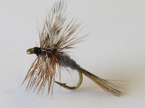 Adams Dry Fly