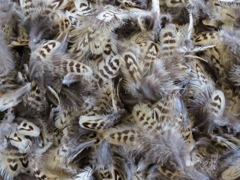 Beige and Chocolate Feathers Bulk