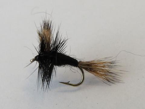 Black Wulff Dry Fly