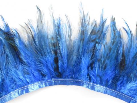 Blue Ginger Hackle Banded Feathers